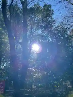 大國魂神社(東京都)
