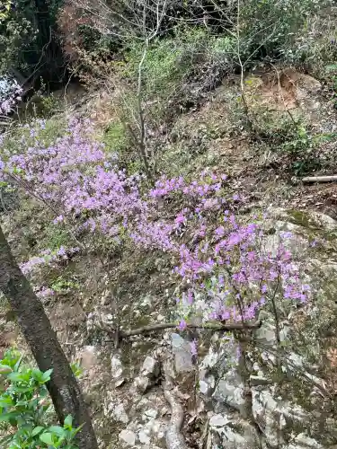 仙遊寺(愛媛県)