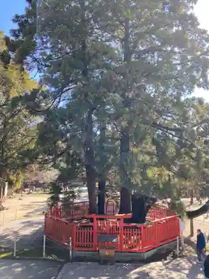 香椎宮(福岡県)