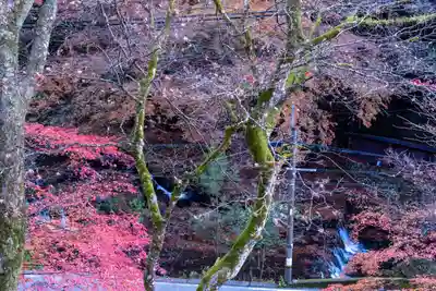 貴船神社(京都府)
