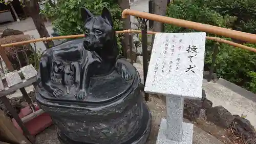 鎮守氷川神社の狛犬