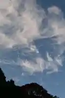 秋葉神社(高知県)