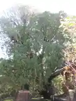 祥應寺(東京都)