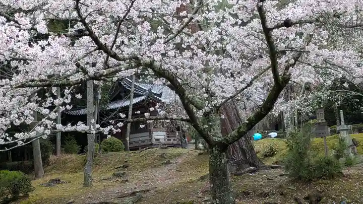 醍醐寺(京都府)