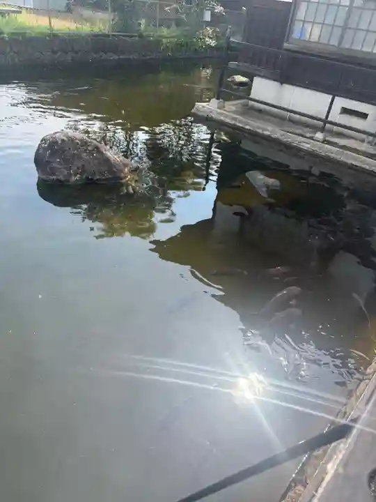 白蛇辨財天(栃木県)