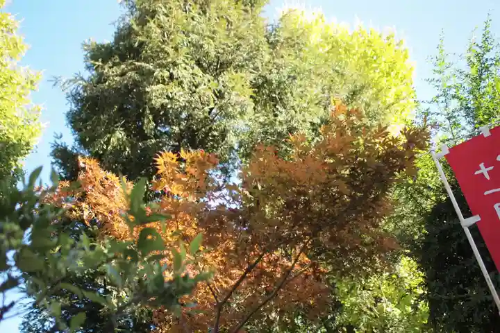 秋葉神社の自然