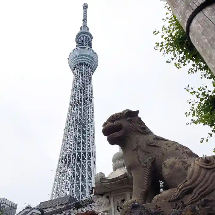 押上天祖神社の狛犬