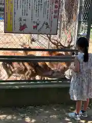 鹿島神宮(茨城県)