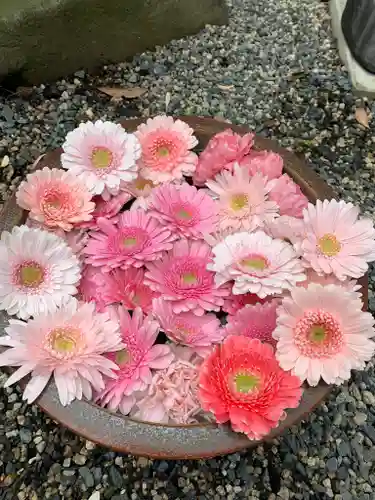 彌都加伎神社の手水舎