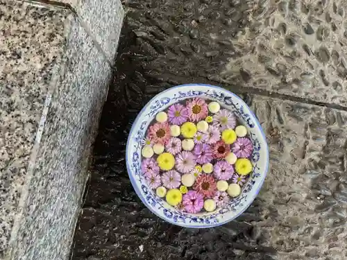 帯廣神社の手水