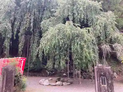 朝日之祖師堂(山梨県)