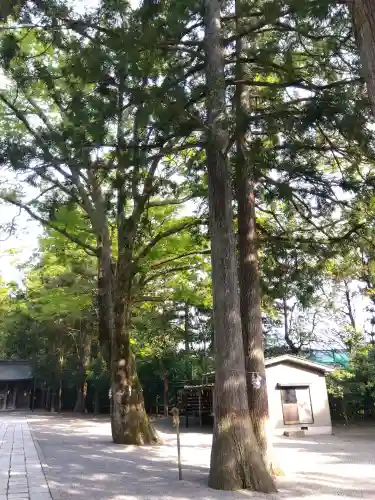 雄山神社前立社壇の{uncategorized: "未分類", other: "その他", undefined: "問題あり", building: "その他建物", grave: "お墓", sacred_gate: "鳥居", guardian: "狛犬", statue: "像", buddha: "仏像", history: "歴史", nature: "自然", garden: "庭園", animal: "動物", pagoda: "塔", temizu: "手水舎", mountain_gate: "山門・神門", sanctuary: "本殿・本堂", subordinate: "末社・摂社", art: "芸術", scenery: "景色", jizo: "地蔵", ema: "絵馬", goshuin: "御朱印", omikuji: "おみくじ", items: "授与品その他", amulet: "お守り", goshuincho: "御朱印帳", eats: "食事", festival: "お祭り", votive_dance: "神楽", shichigosan: "七五三参", wedding: "結婚式", experience: "体験その他", initially: "初詣", around: "周辺", anti_infection: "感染症対策"}
