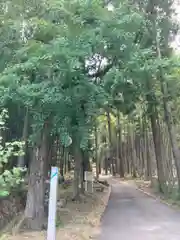 若王子神社の自然