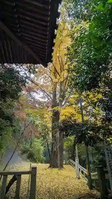 観音寺（山崎聖天）(京都府)