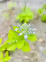 伊勢の国 四天王寺(三重県)