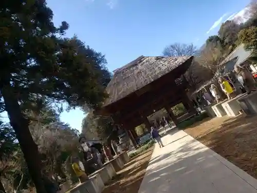 茂林寺(群馬県)