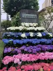 白山神社の庭園