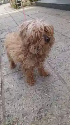 胡録神社(東京都)