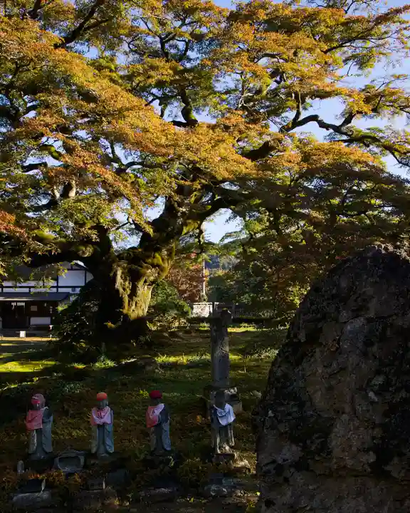 西善寺(埼玉県)