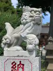 亀ケ池八幡宮の狛犬