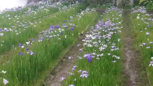 長岡天満宮の庭園