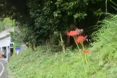 座間神社(神奈川県)