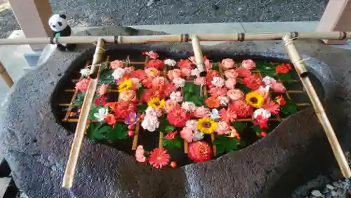 千歳神社の手水