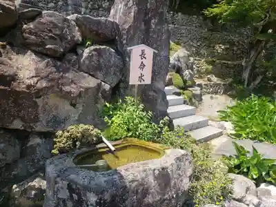 種徳禅寺の手水舎
