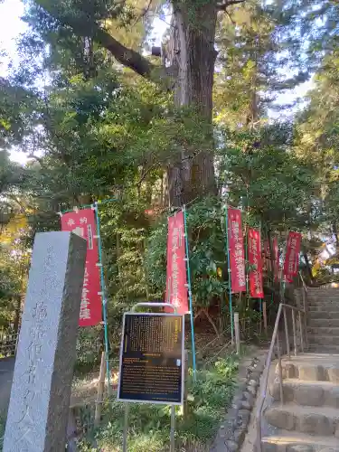 塩船観音寺(東京都)