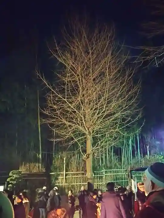 八坂神社の自然