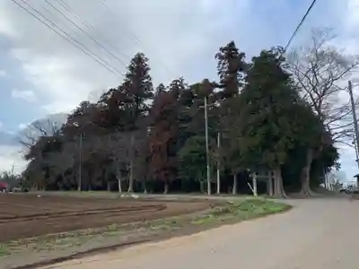 白幡神社(千葉県)