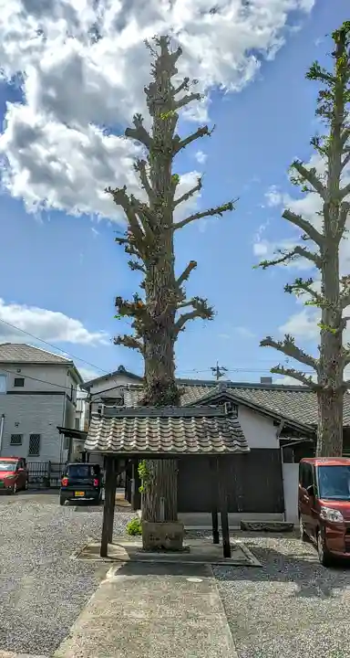 光蓮寺の手水舎