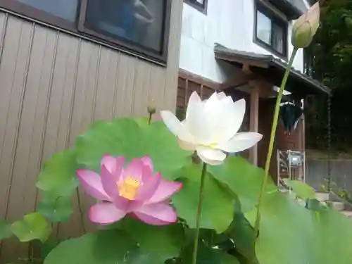 全忠寺(愛知県)