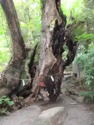 來宮神社のその他建物