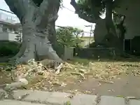 和田塚(神奈川県)