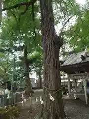 玉前神社(千葉県)