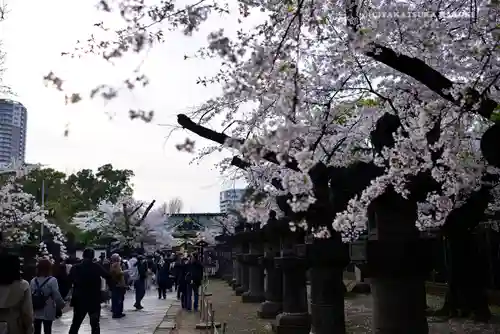 上野東照宮の自然