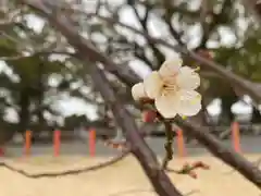 美奈宜神社(福岡県)