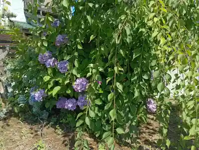 水天宮(茨城県)