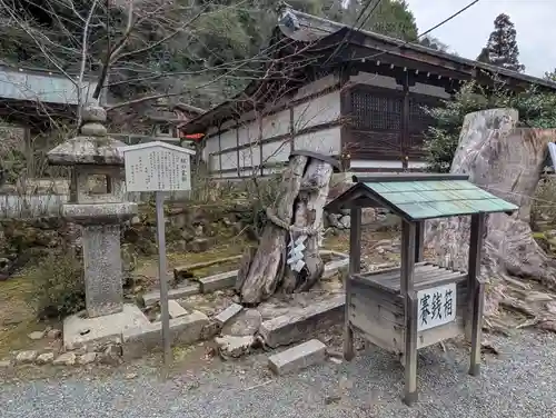 松尾大社(京都府)