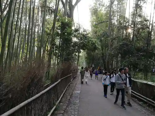 野宮神社(京都府)