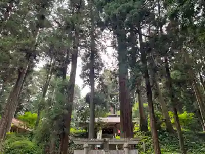 大宮温泉神社(栃木県)