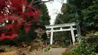 都々古別神社(馬場)の鳥居