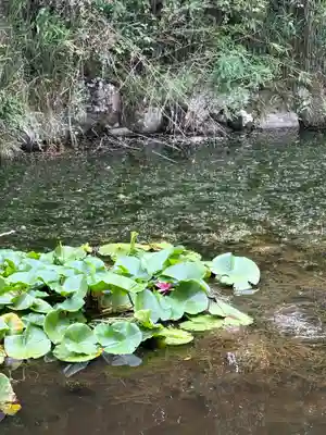 古法華寺（多聞寺境外仏堂）の自然
