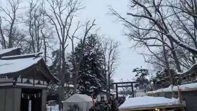 旭川神社の初詣