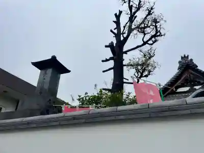 上聖寺の{uncategorized: "未分類", other: "その他", undefined: "問題あり", building: "その他建物", grave: "お墓", sacred_gate: "鳥居", guardian: "狛犬", statue: "像", buddha: "仏像", history: "歴史", nature: "自然", garden: "庭園", animal: "動物", pagoda: "塔", temizu: "手水舎", mountain_gate: "山門・神門", sanctuary: "本殿・本堂", subordinate: "末社・摂社", art: "芸術", scenery: "景色", jizo: "地蔵", ema: "絵馬", goshuin: "御朱印", omikuji: "おみくじ", items: "授与品その他", amulet: "お守り", goshuincho: "御朱印帳", eats: "食事", festival: "お祭り", votive_dance: "神楽", shichigosan: "七五三参", wedding: "結婚式", experience: "体験その他", initially: "初詣", around: "周辺", anti_infection: "感染症対策"}