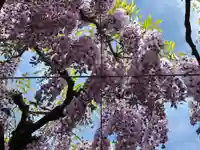 大神宮(福岡県)