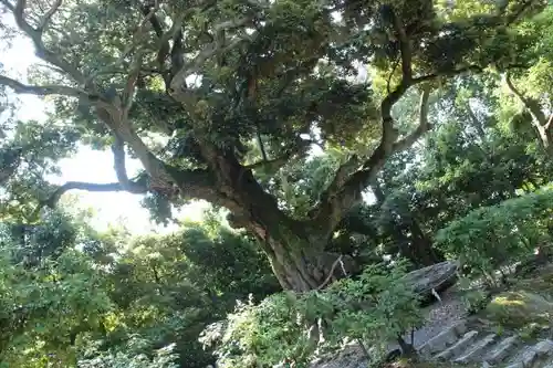 新日吉神宮のその他建物