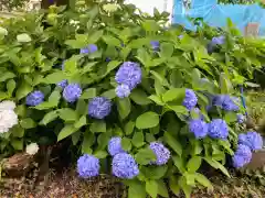 八幡神社(埼玉県)