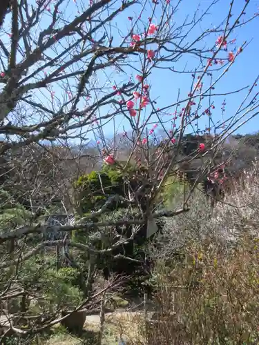 光則寺の景色